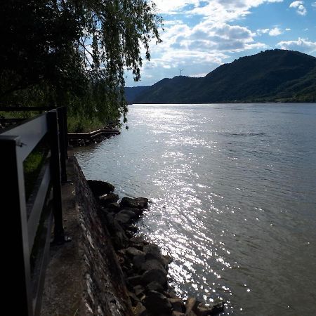 Dedin Raj Villa Golubac Bagian luar foto
