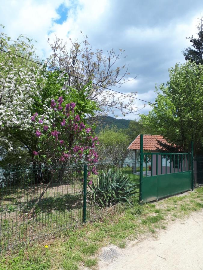 Dedin Raj Villa Golubac Bagian luar foto