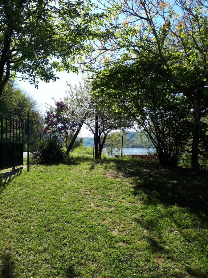 Dedin Raj Villa Golubac Bagian luar foto