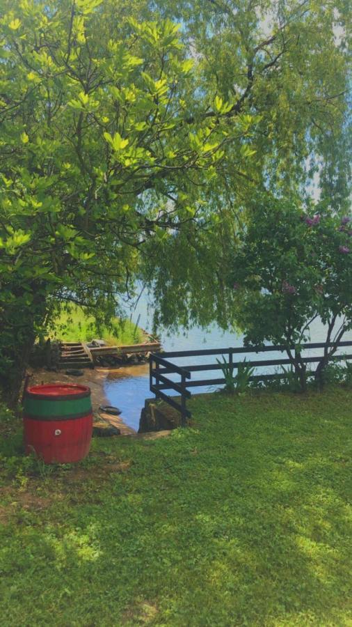 Dedin Raj Villa Golubac Bagian luar foto