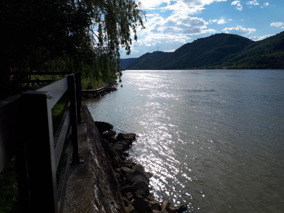 Dedin Raj Villa Golubac Bagian luar foto