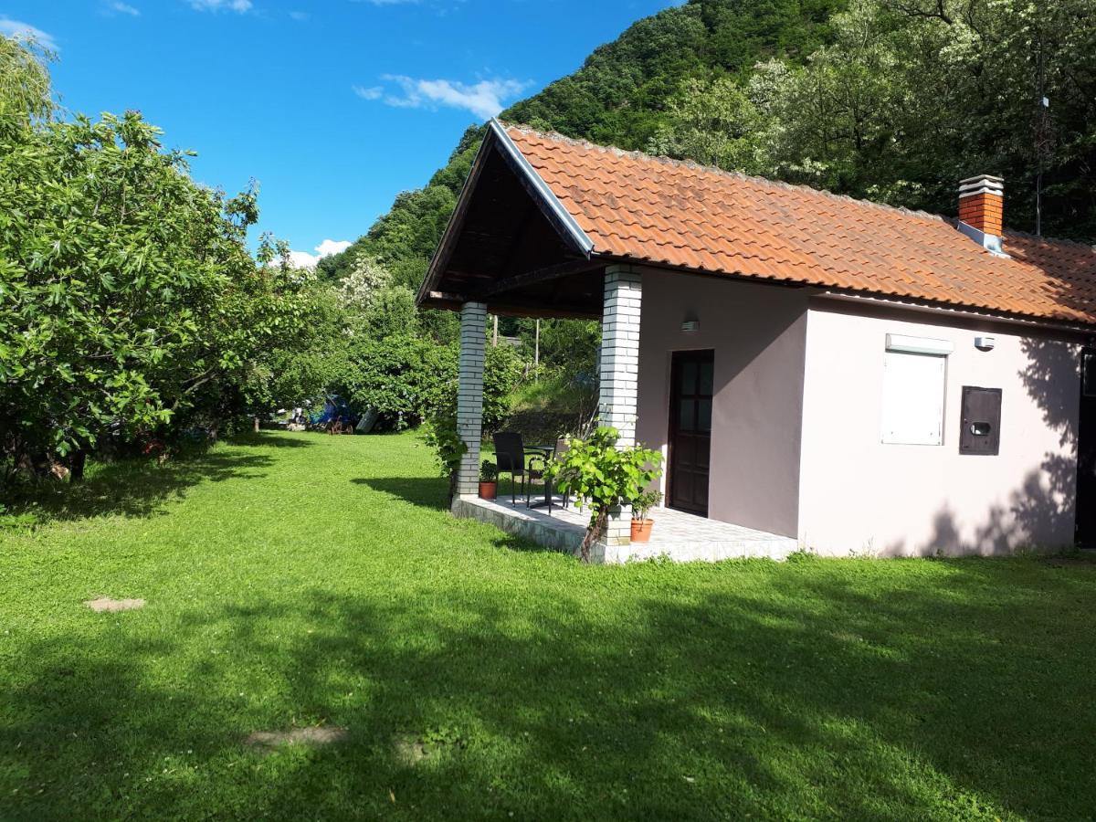 Dedin Raj Villa Golubac Bagian luar foto